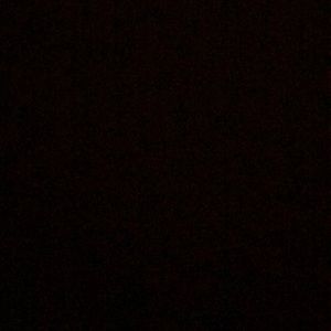 Meet your Posher, Donny